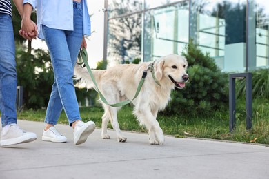 Photo of Couple walking with cute Golden Retriever dog outdoors, closeup