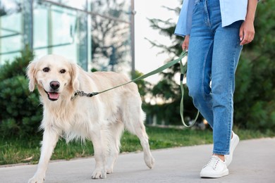 Photo of Owner walking with cute Golden Retriever dog outdoors, closeup