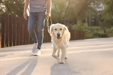 Photo of Owner walking with cute Golden Retriever dog outdoors on sunny day, closeup