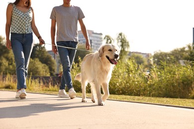 Photo of Couple walking with cute Golden Retriever dog outdoors on sunny day, closeup. Space for text