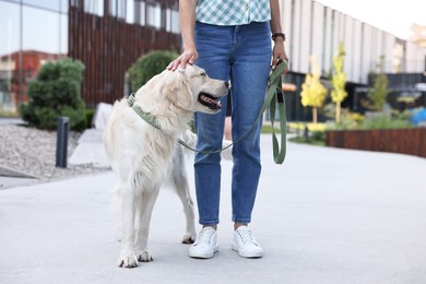 Photo of Owner stroking cute Golden Retriever dog outdoors, closeup