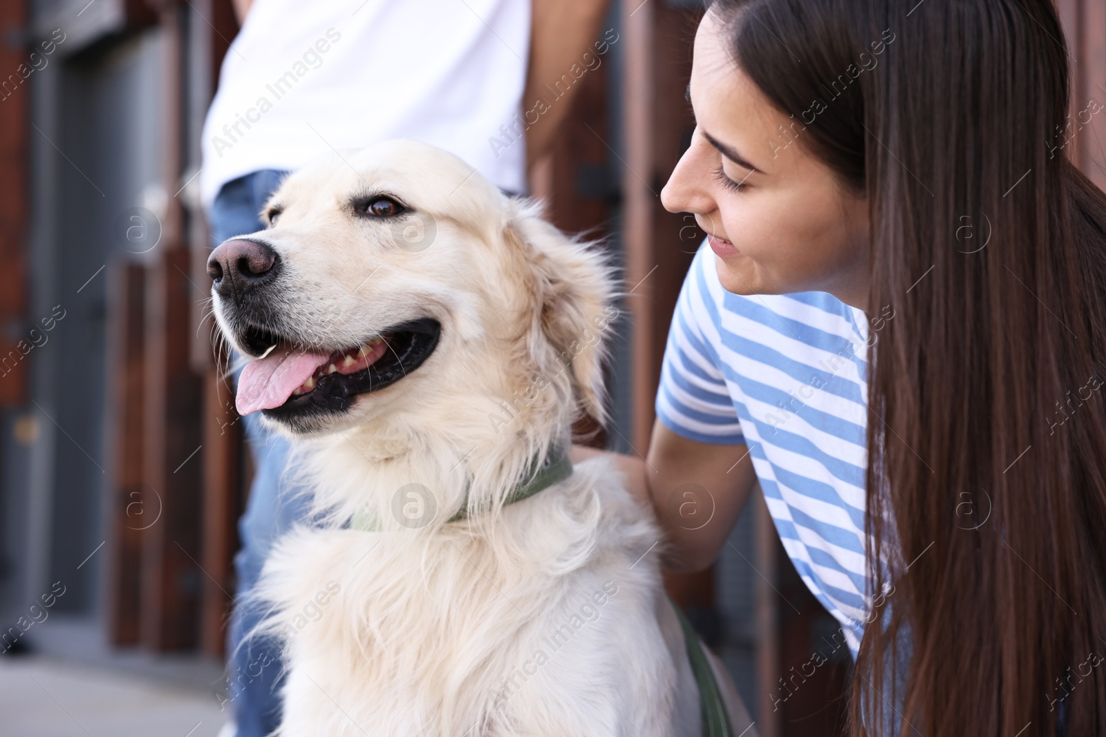 Photo of Owner with cute Golden Retriever dog outdoors