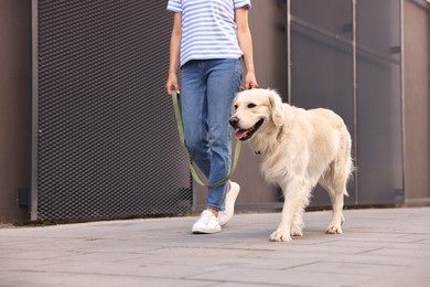 Owner walking with cute Golden Retriever dog outdoors, closeup. Space for text