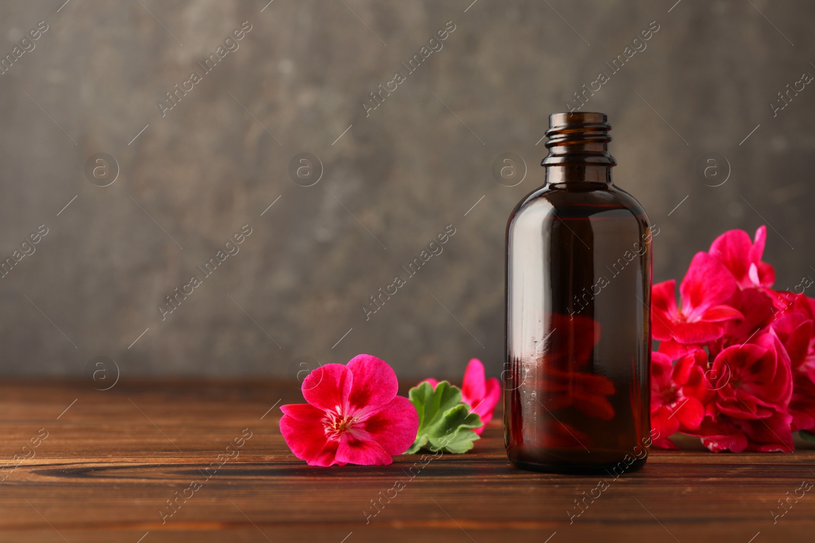 Photo of Geranium essential oil in bottle and beautiful flowers on wooden table, space for text