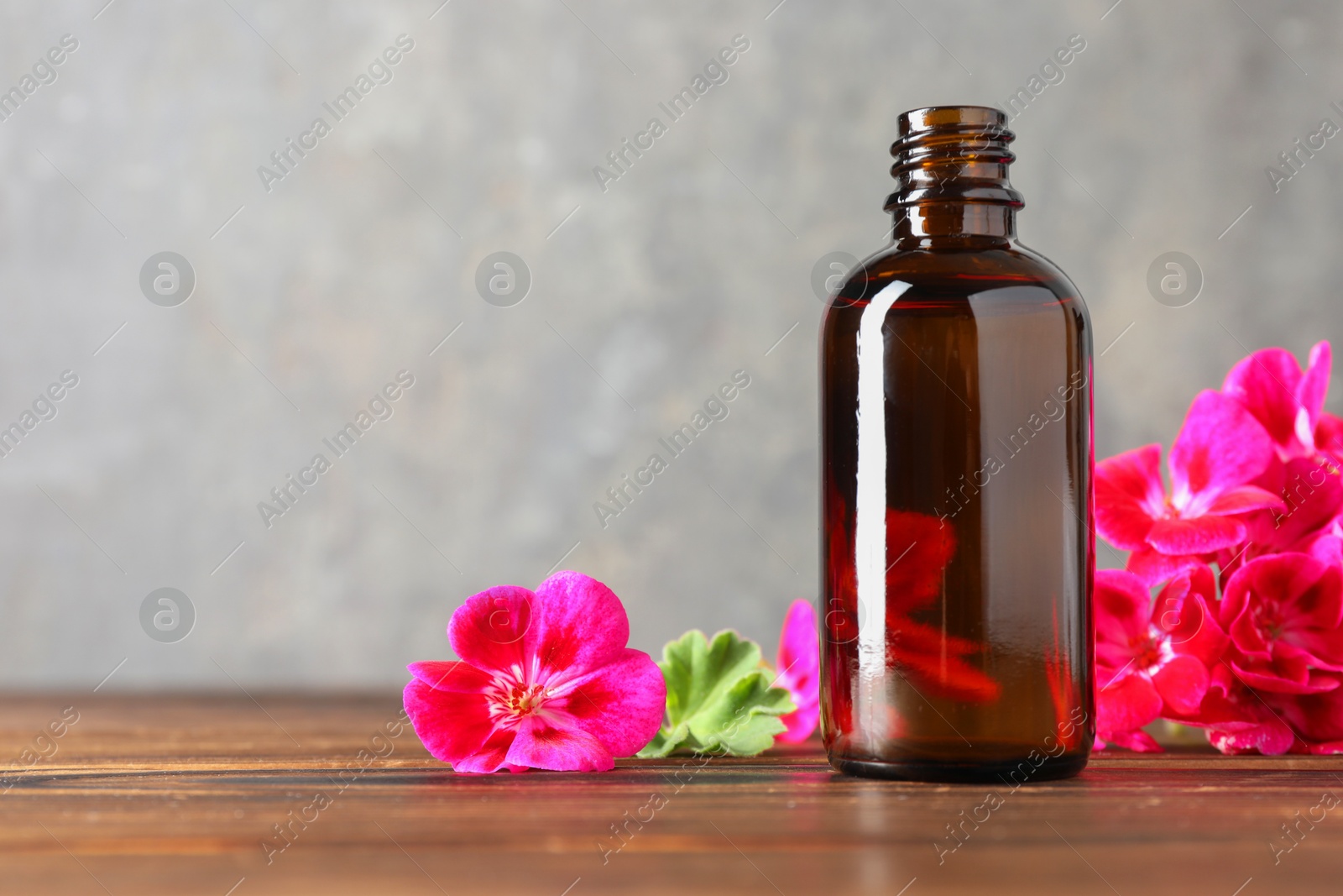 Photo of Geranium essential oil in bottle and beautiful flowers on wooden table, space for text