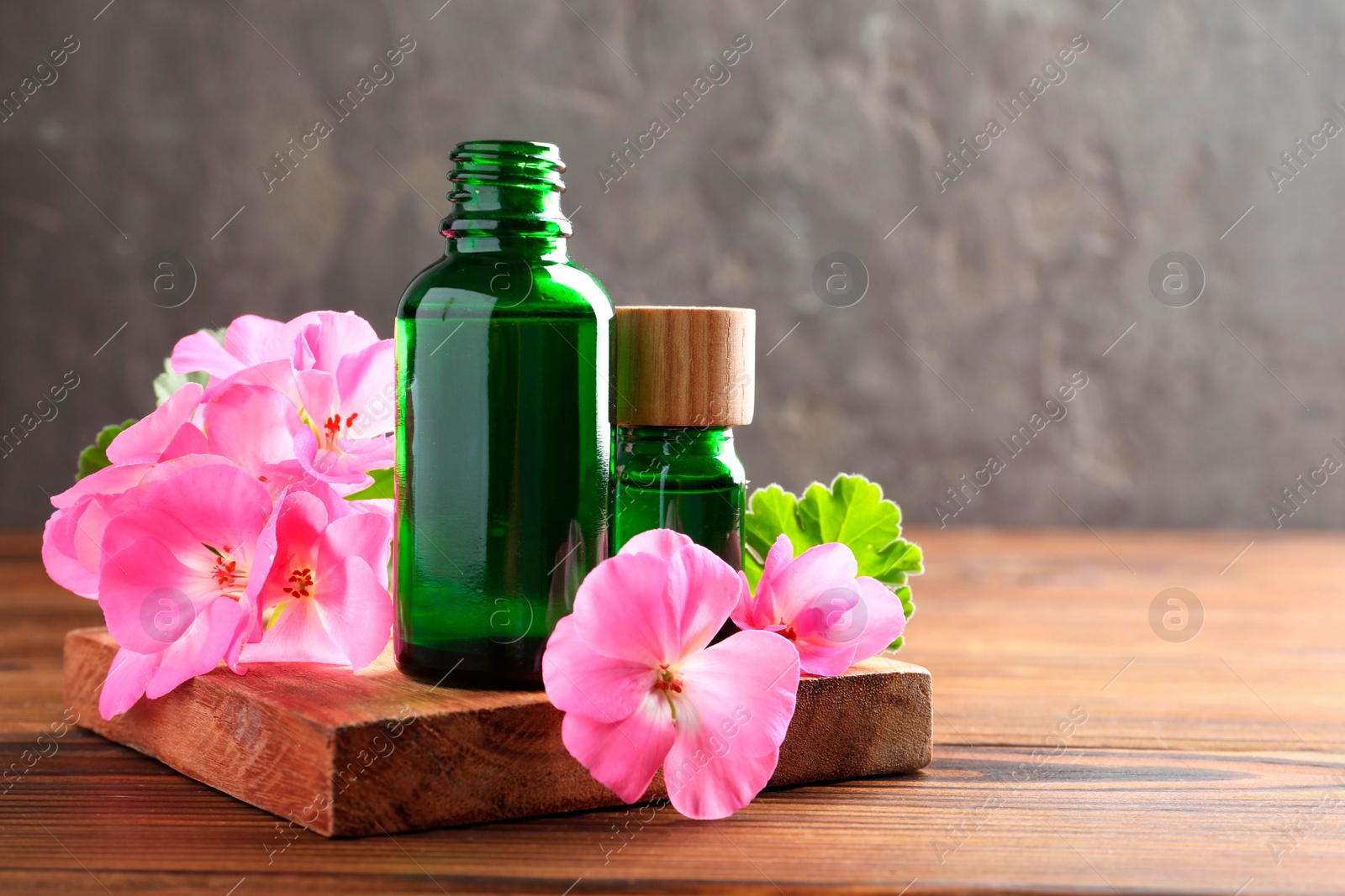 Photo of Geranium essential oil in bottles and beautiful flowers on wooden table, space for text