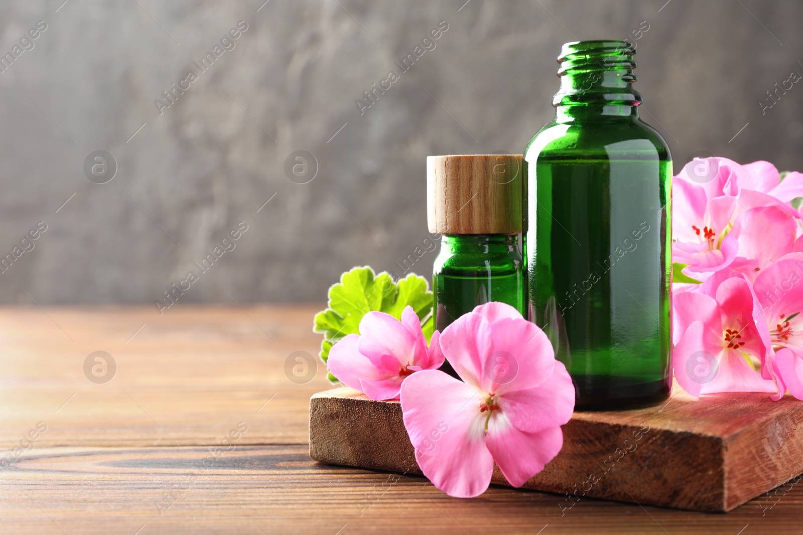 Photo of Geranium essential oil in bottles and beautiful flowers on wooden table, space for text