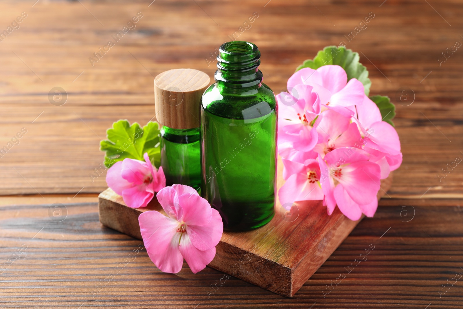 Photo of Geranium essential oil in bottles and beautiful flowers on wooden table