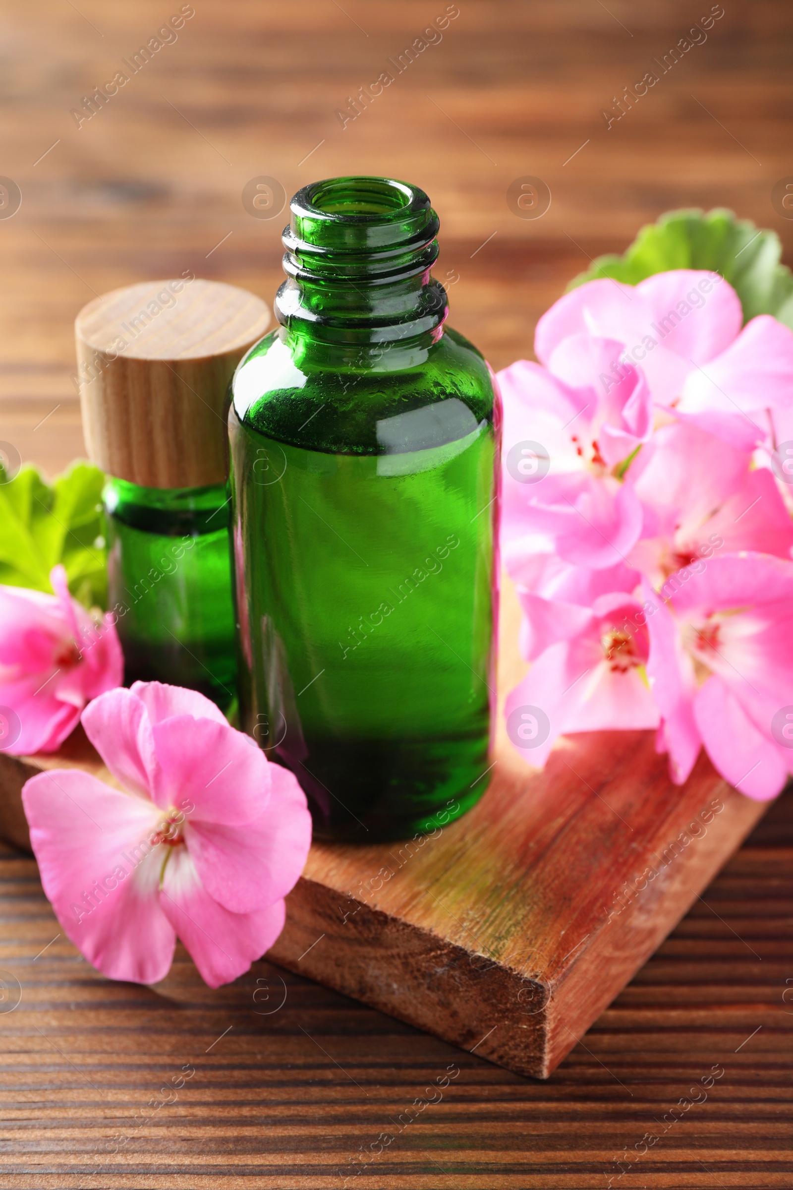 Photo of Geranium essential oil in bottles and beautiful flowers on wooden table