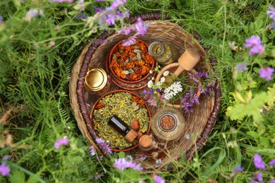 Different ingredients for tincture, mortar and pestle in wicker basket on green grass outdoors, top view