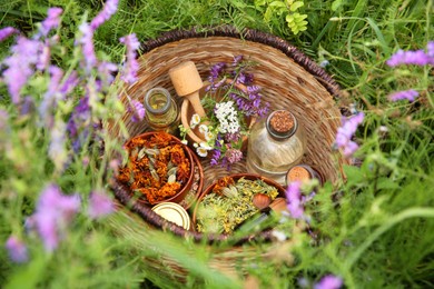 Photo of Different ingredients for tincture, mortar and pestle in wicker basket on green grass outdoors