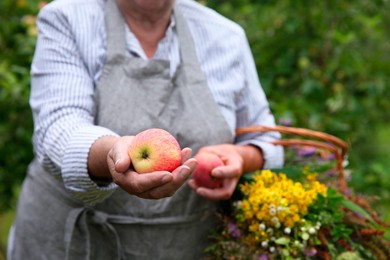 Photo of Senior woman with apples and wildflowers outdoors, closeup