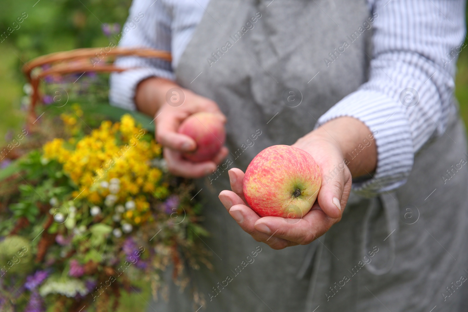 Photo of Senior woman with apples and wildflowers outdoors, closeup