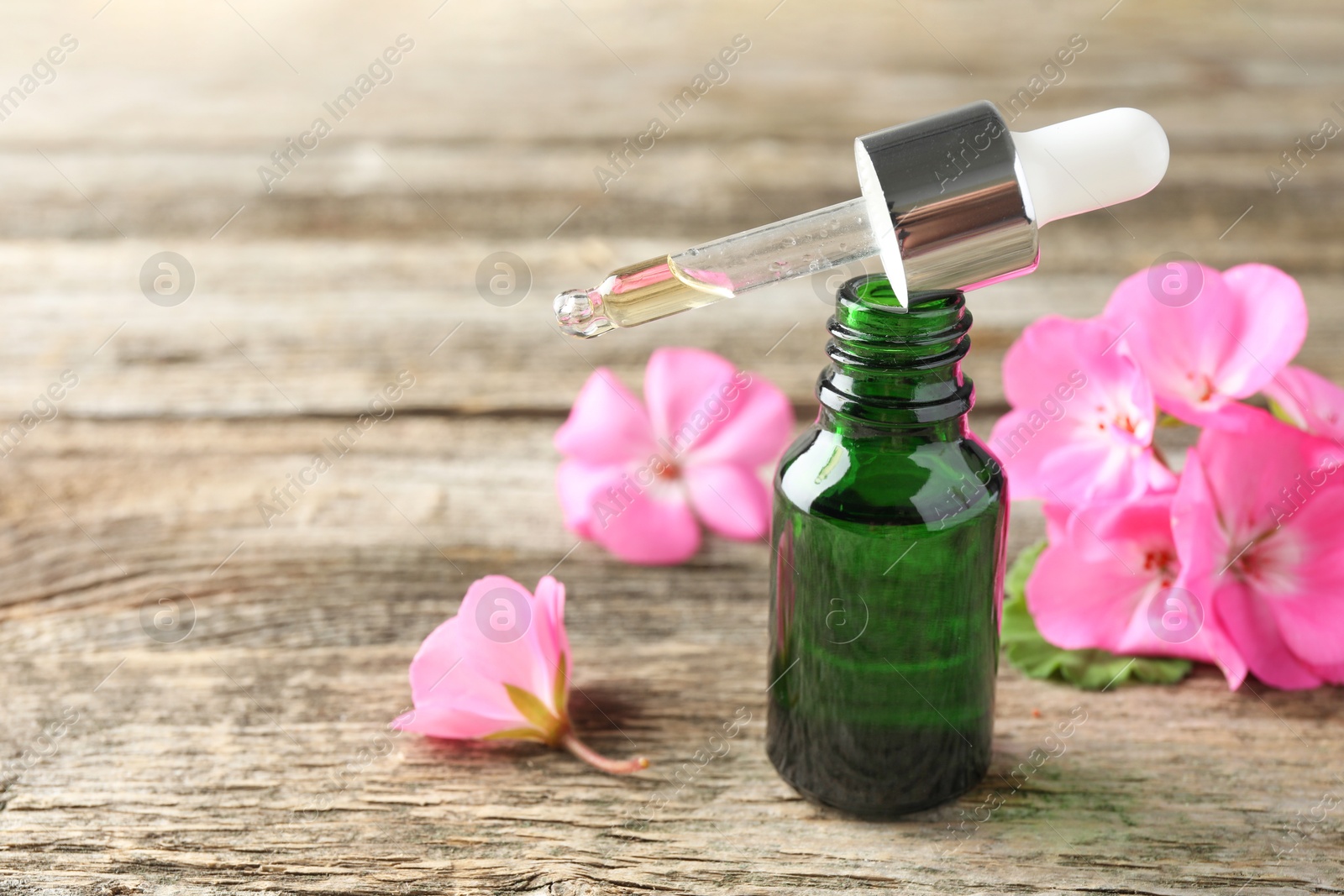 Photo of Geranium essential oil in bottle, pipette and beautiful flowers on wooden table, closeup. Space for text