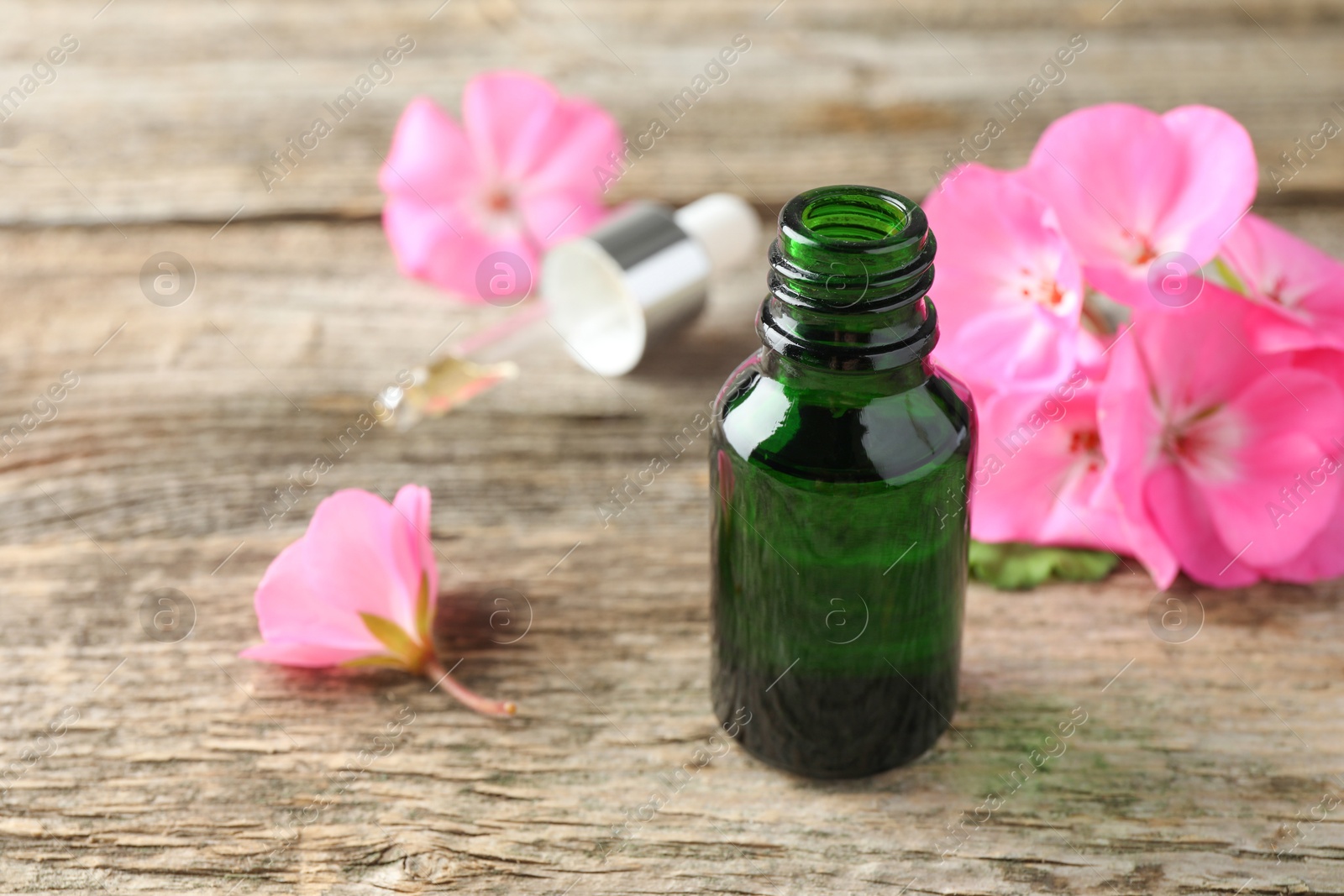 Photo of Geranium essential oil in bottle, pipette and beautiful flowers on wooden table, closeup