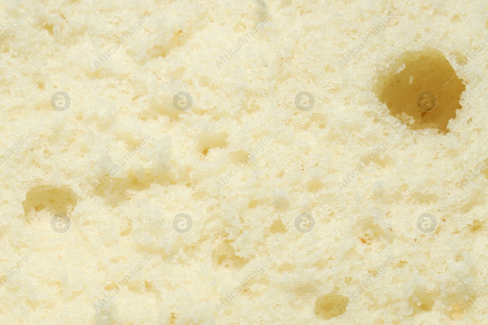 Photo of Tasty sponge cake as background, top view