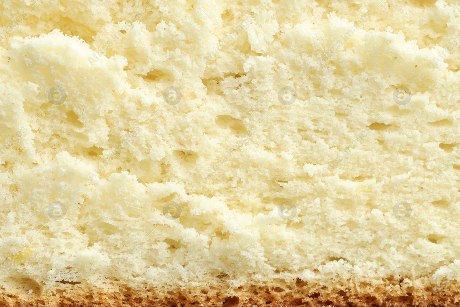 Photo of Tasty sponge cake as background, top view