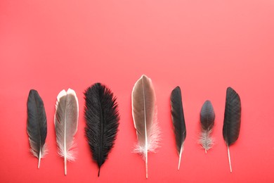 Photo of Beautiful feathers on red background, flat lay. Space for text