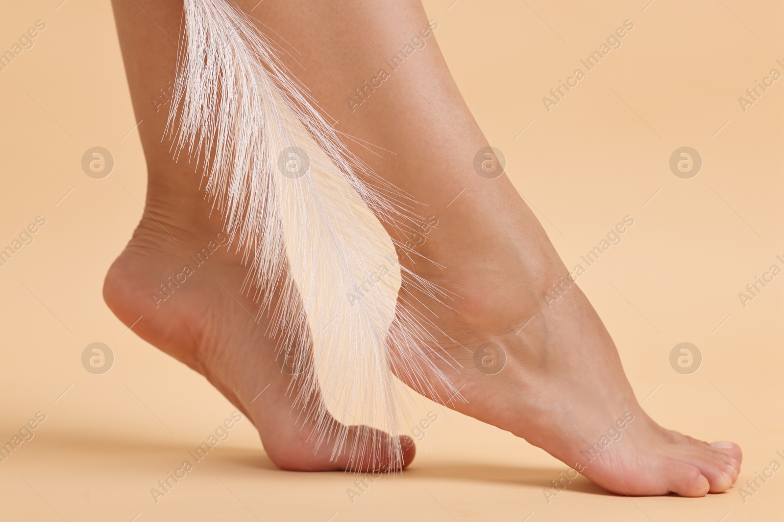 Photo of Woman with smooth feet and feather on beige background, closeup