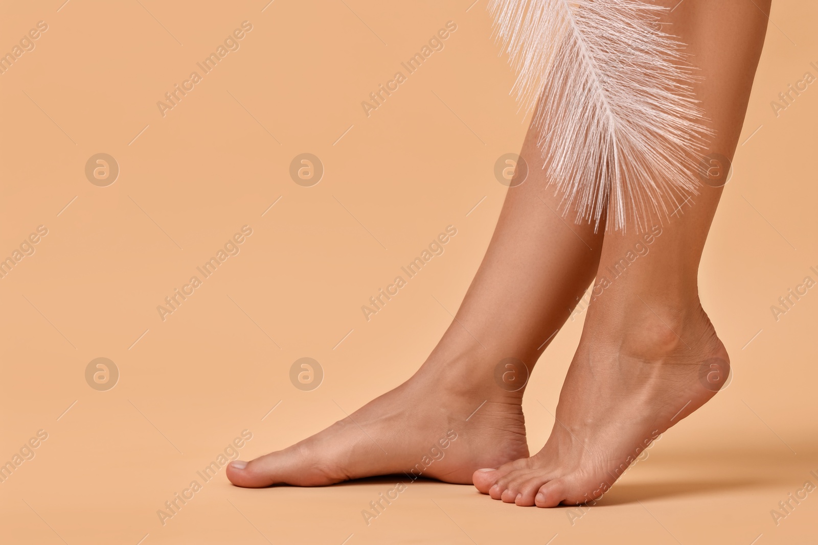 Photo of Woman with smooth legs and feather on beige background, closeup. Space for text