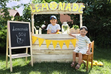 Cute boys with refreshing drinks near lemonade stand in park