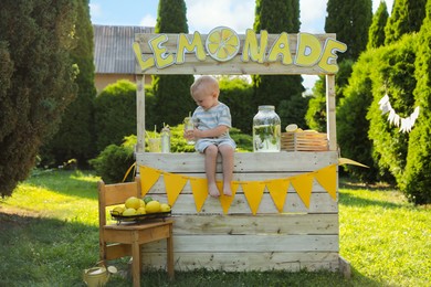 Cute little boy sitting on lemonade stand in park