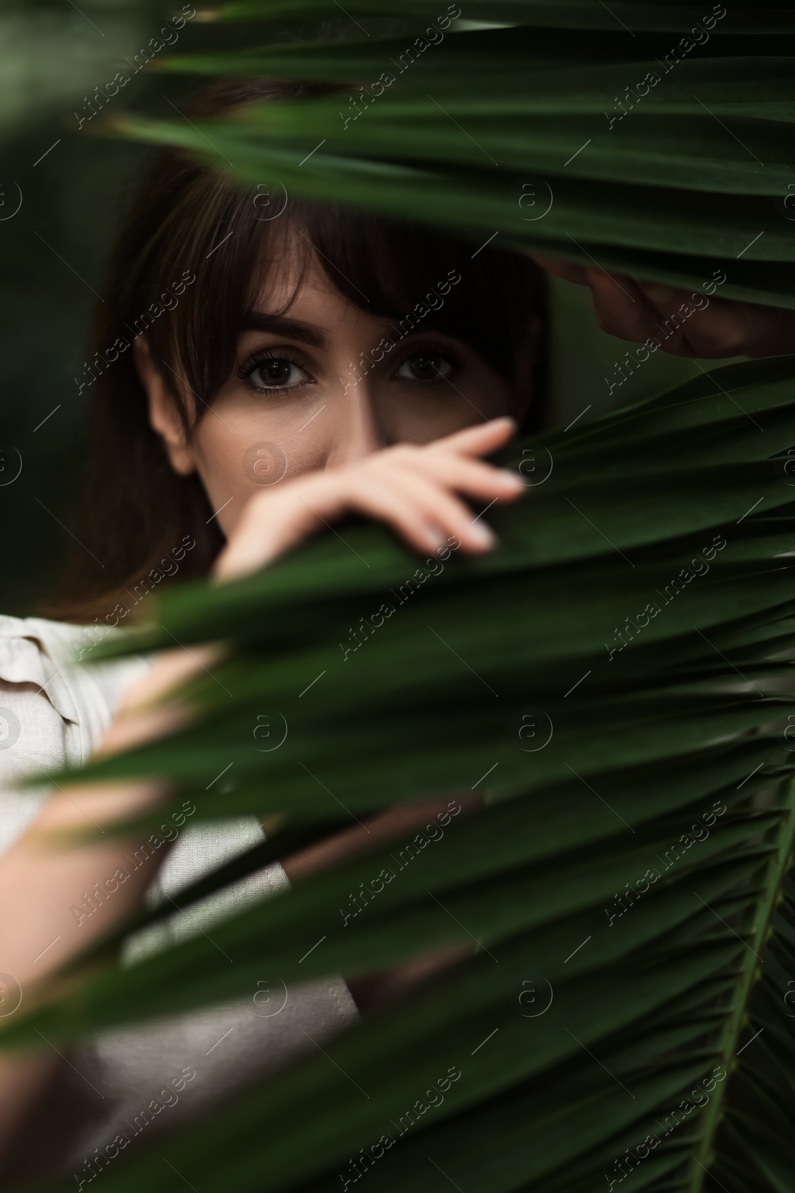 Photo of Portrait of beautiful woman with palm tree leaf outdoors