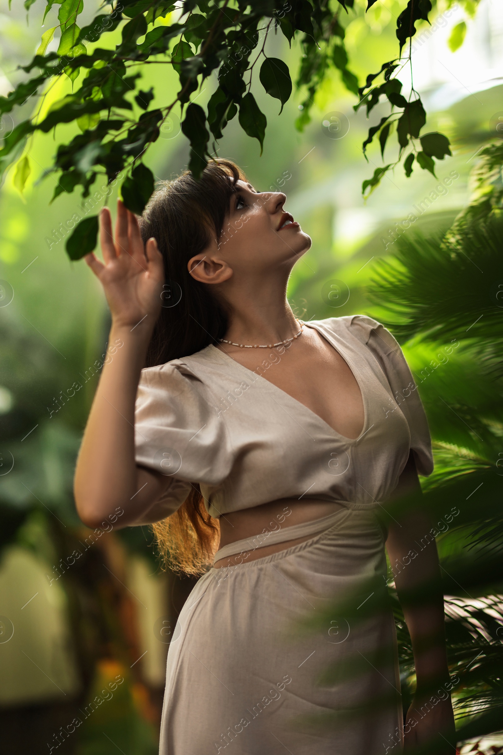 Photo of Portrait of beautiful woman in tropical forest