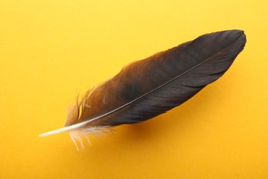 Photo of One black feather on yellow background, top view