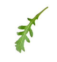 Photo of One fresh arugula leaf isolated on white