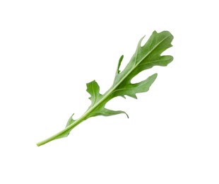 Photo of One fresh arugula leaf isolated on white