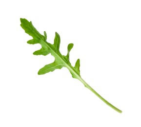 Photo of One fresh arugula leaf isolated on white