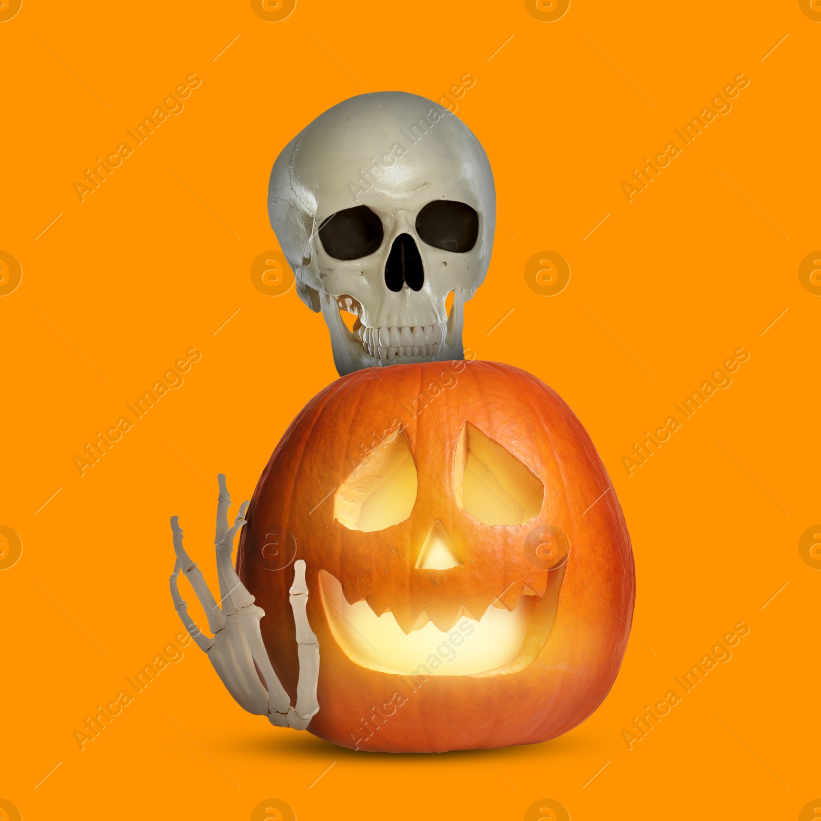 Image of Scary skeleton touching spooky jack o'lantern on orange background. Halloween celebration