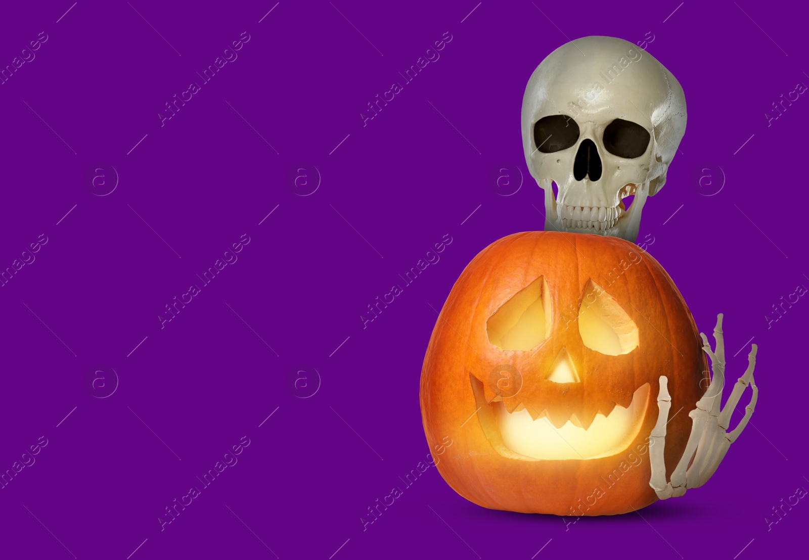 Image of Scary skeleton touching spooky jack o'lantern on purple background, space for text. Halloween celebration