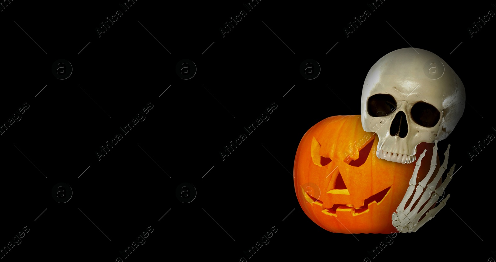 Image of Scary skeleton with spooky jack o'lantern on black background, banner design with space for text. Halloween celebration