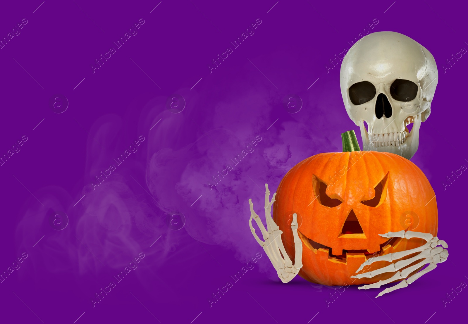 Image of Scary skeleton with spooky jack o'lantern in smoke on purple background, space for text. Halloween celebration