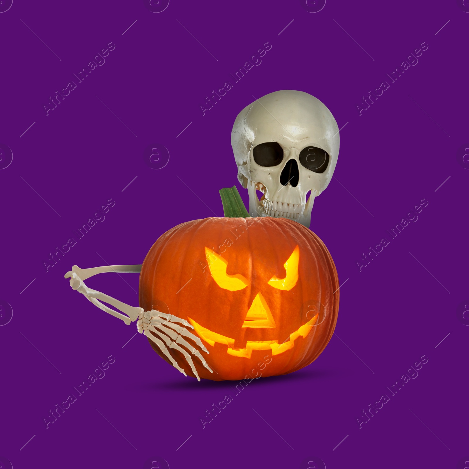 Image of Scary skeleton hugging spooky jack o'lantern on purple background. Halloween celebration