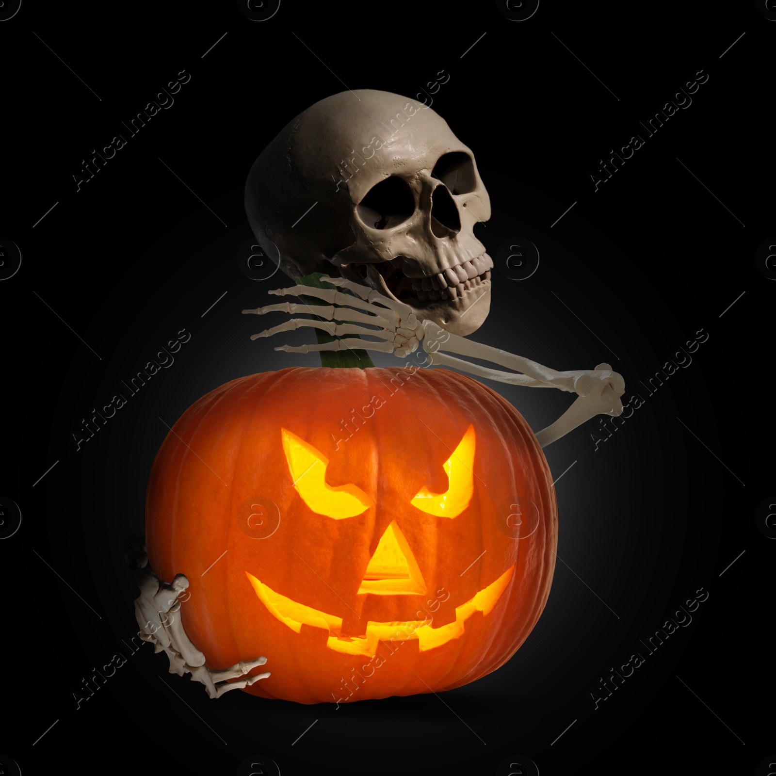 Image of Scary skeleton hugging spooky jack o'lantern on black background. Halloween celebration