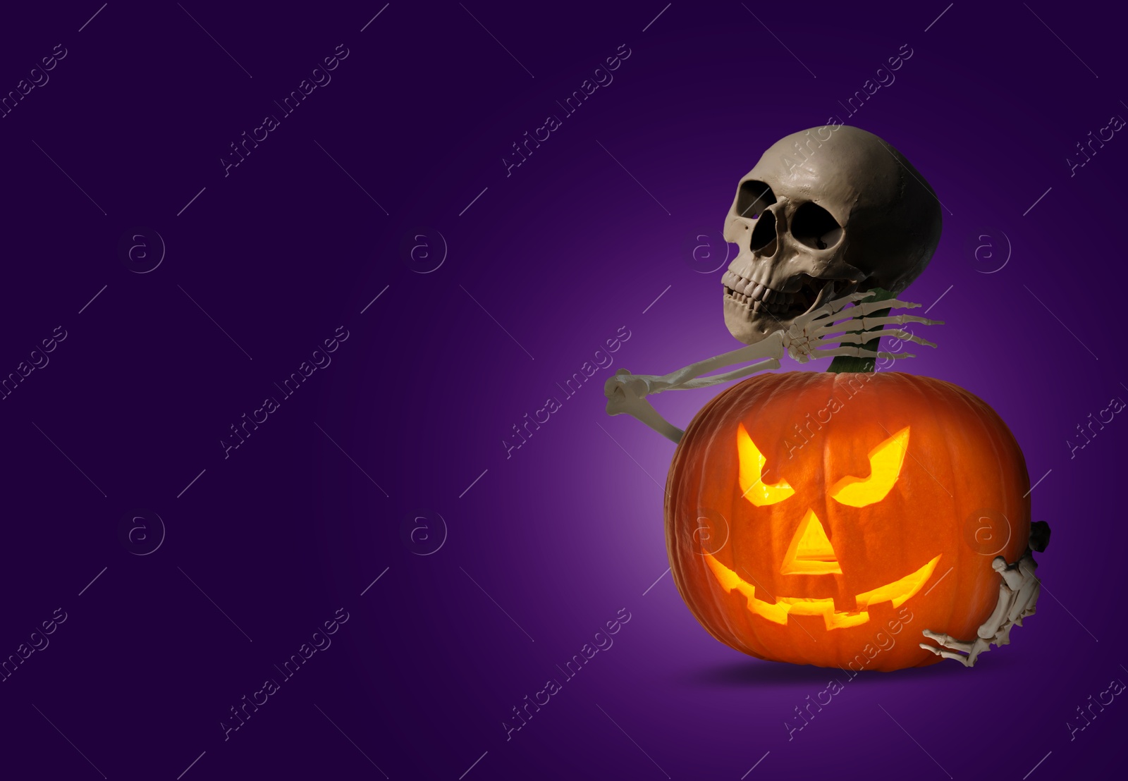 Image of Scary skeleton hugging spooky jack o'lantern on purple background, space for text. Halloween celebration