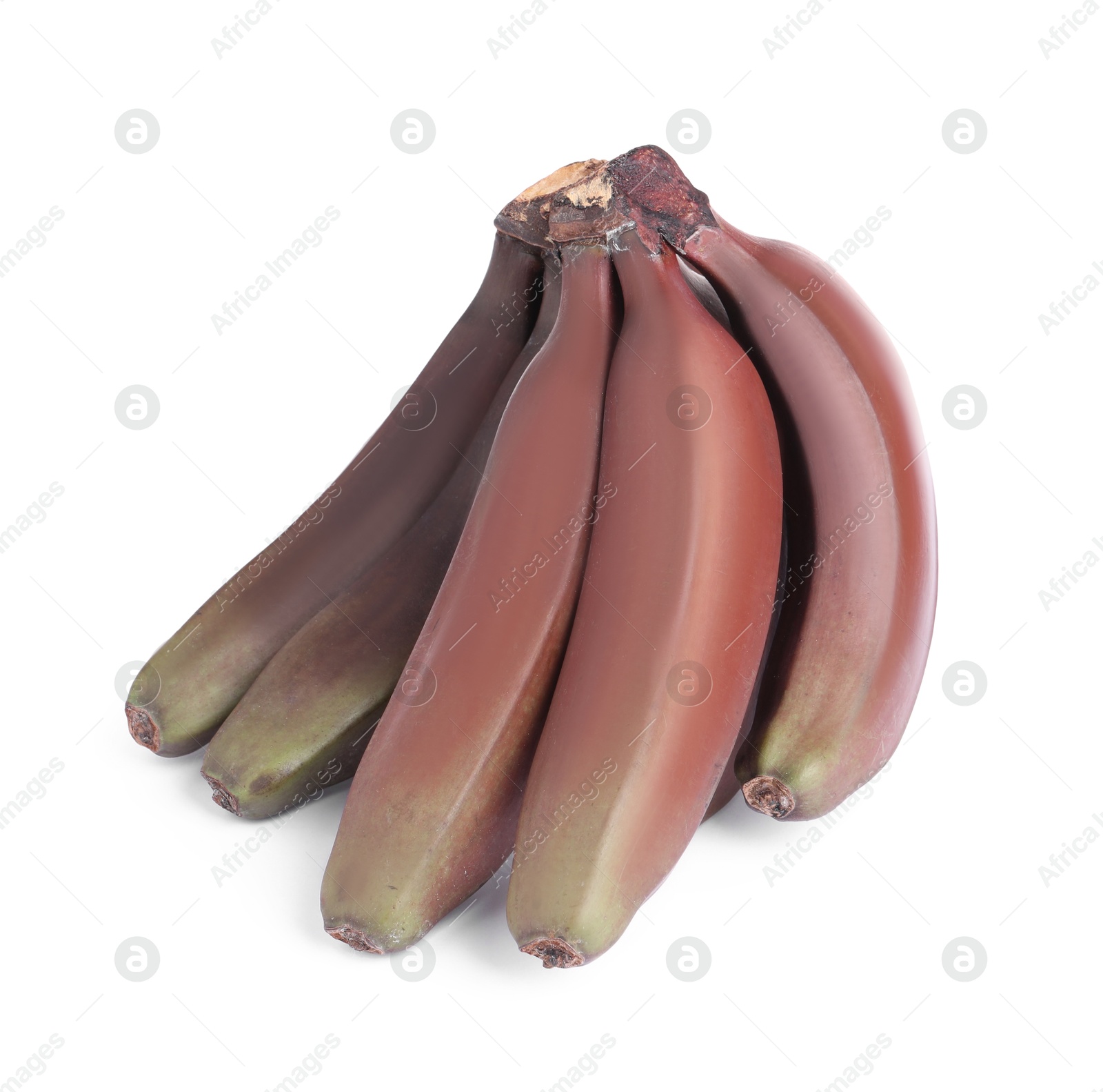 Photo of Delicious red baby bananas on white background