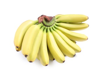 Photo of Bunch of ripe baby bananas on white background