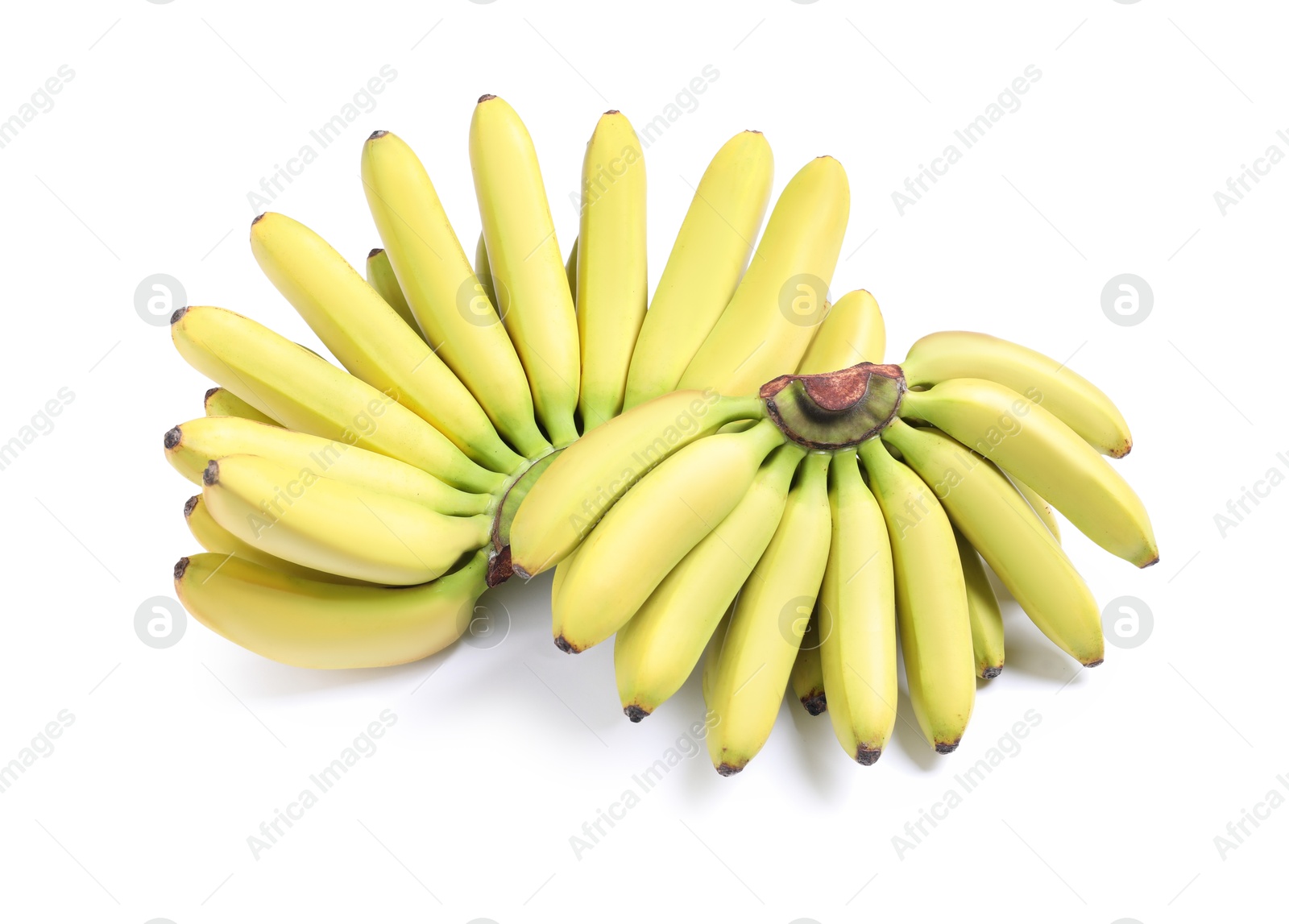 Photo of Bunches of ripe baby bananas on white background