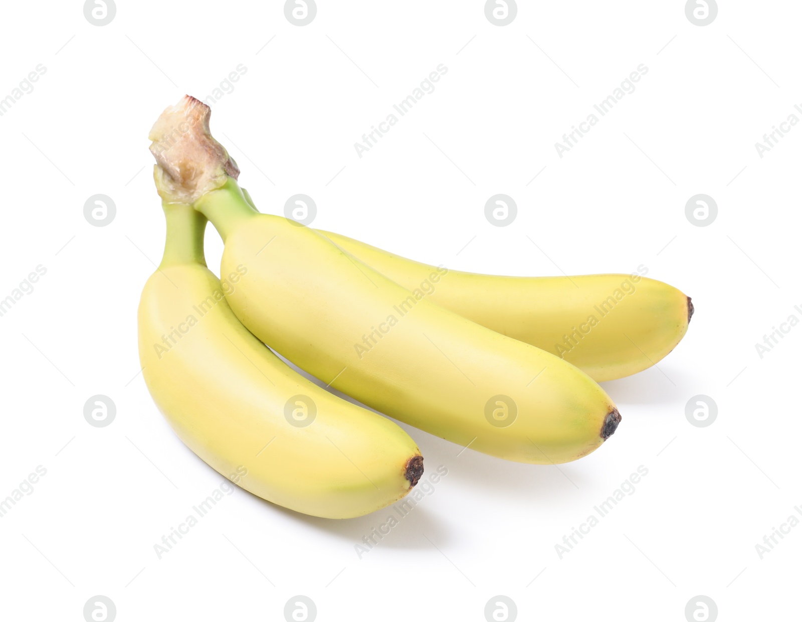 Photo of Cluster of ripe baby bananas on white background