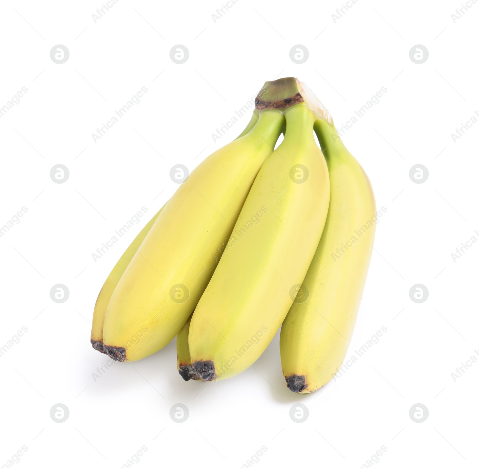 Photo of Cluster of ripe baby bananas on white background