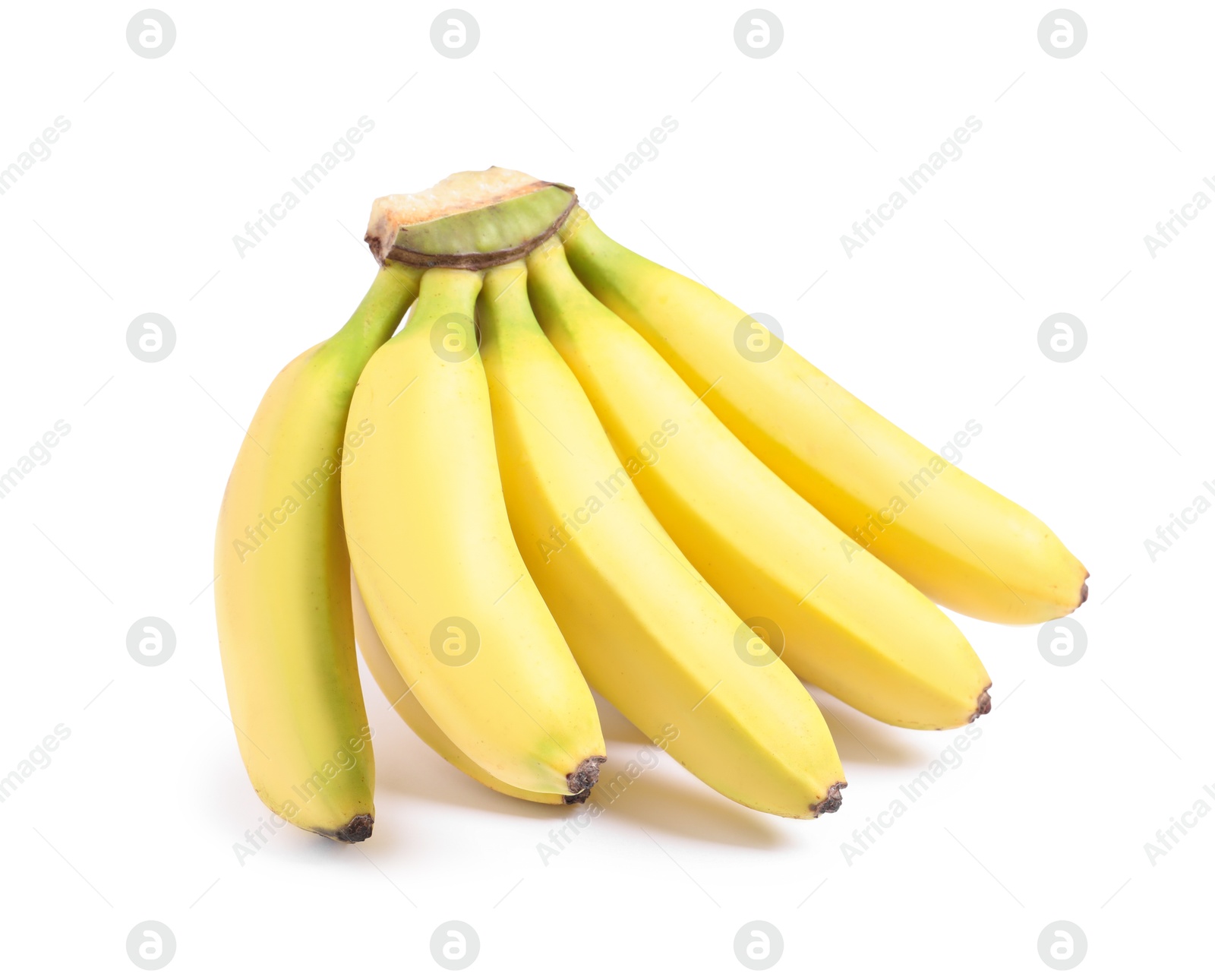 Photo of Sweet ripe baby bananas isolated on white