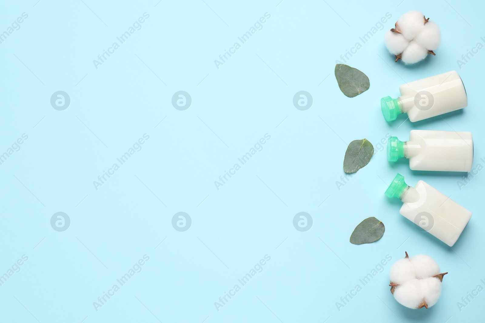 Photo of Cosmetic products, leaves and cotton flowers on light blue background, flat lay. Space for text