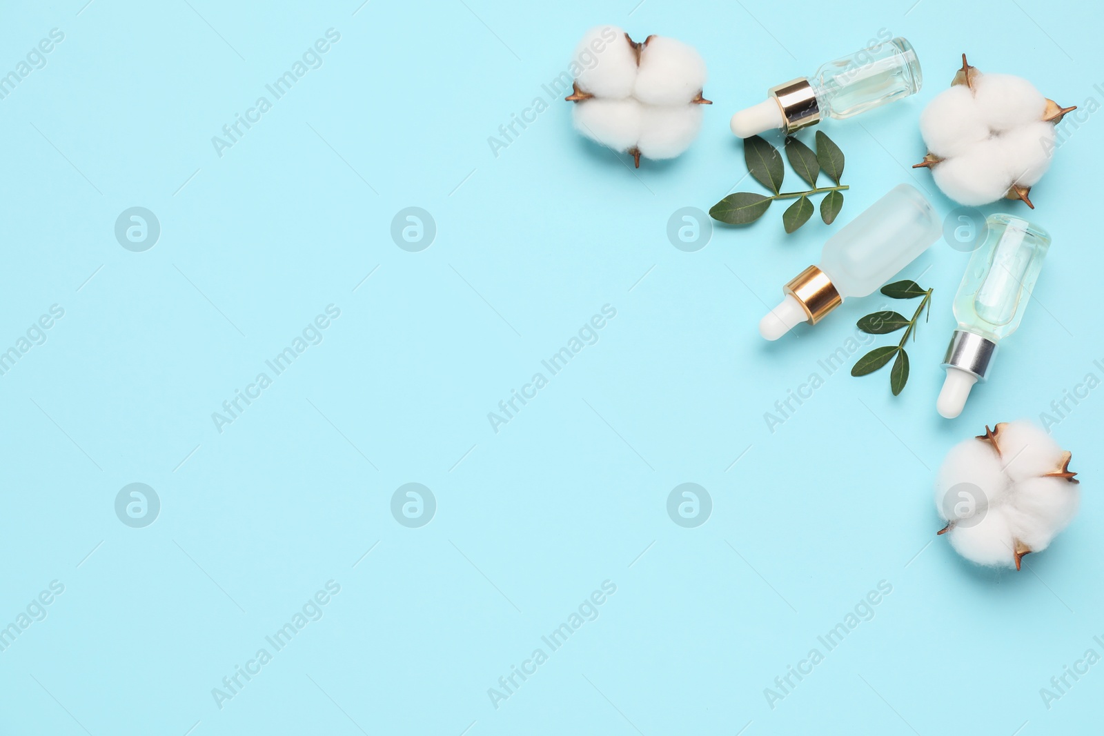 Photo of Cosmetic products. Essential oil, leaves and cotton flowers on light blue background, flat lay. Space for text