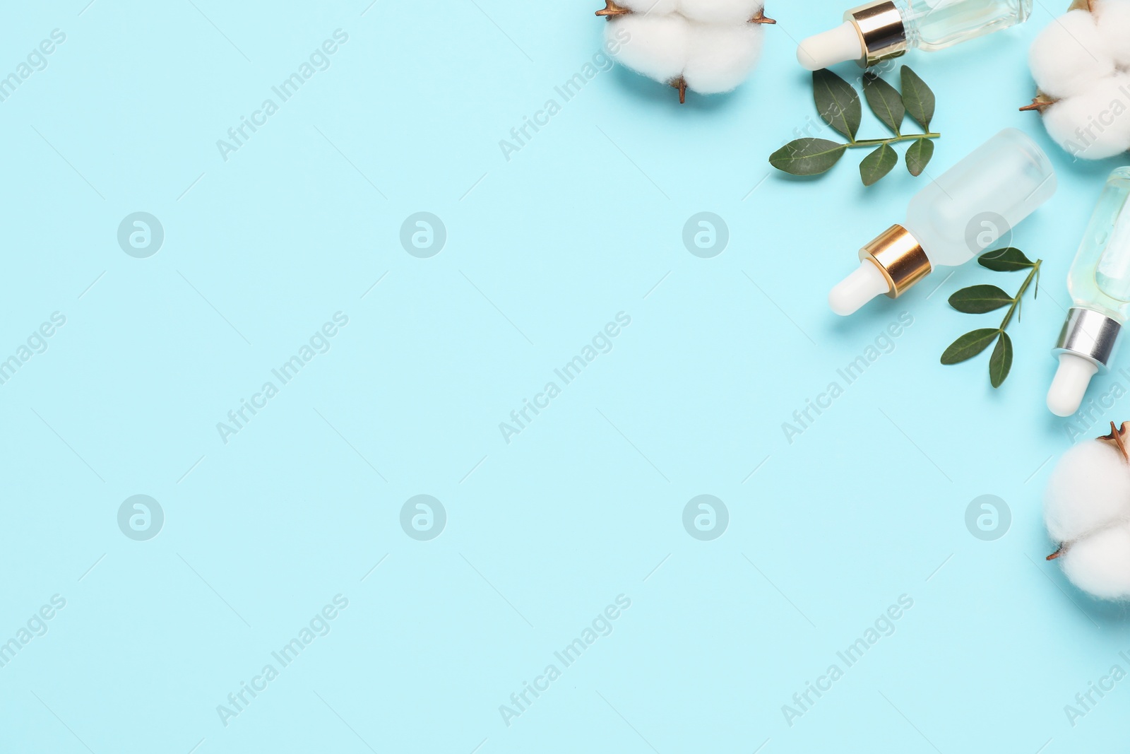 Photo of Cosmetic products. Essential oil, leaves and cotton flowers on light blue background, flat lay. Space for text