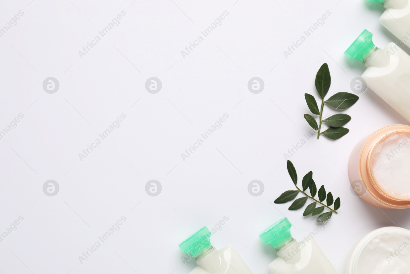 Photo of Different cosmetic products and leaves on white background, flat lay. Space for text