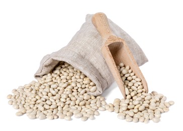 Photo of Dried beans in burlap with scoop isolated on white